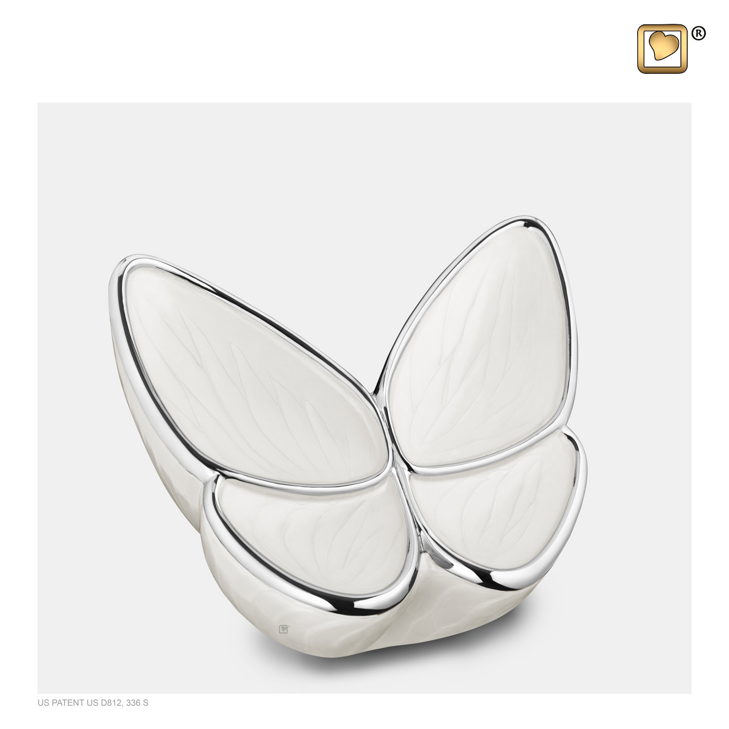 Medium witte vlinder urn