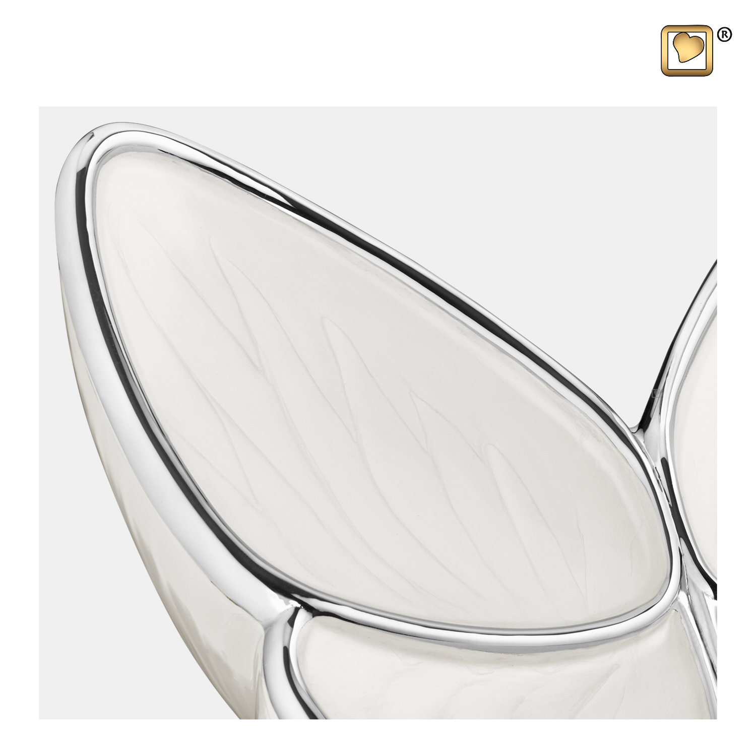 Medium witte vlinder urn - Afbeelding 2