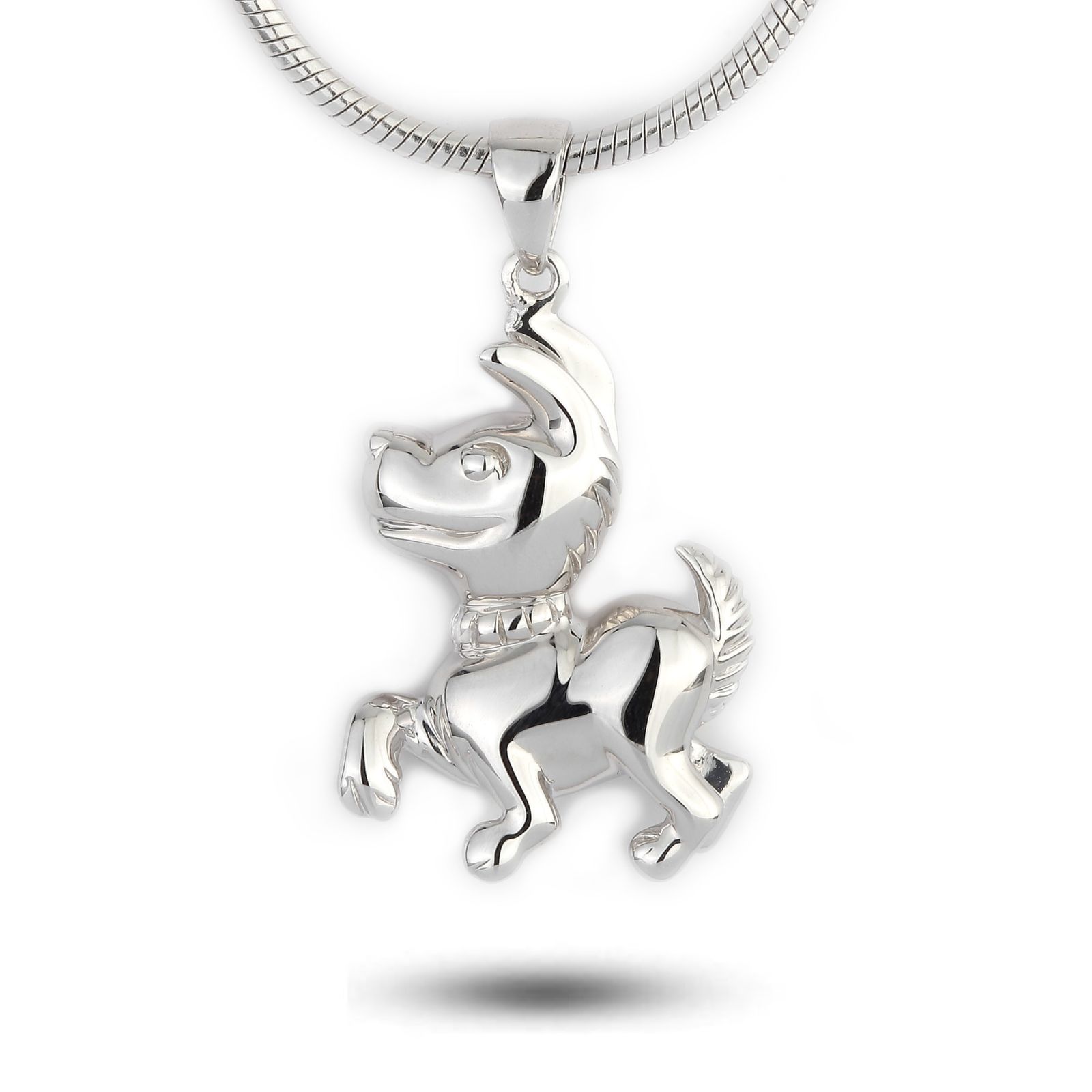 Zilveren Hanger voor As van een Hond