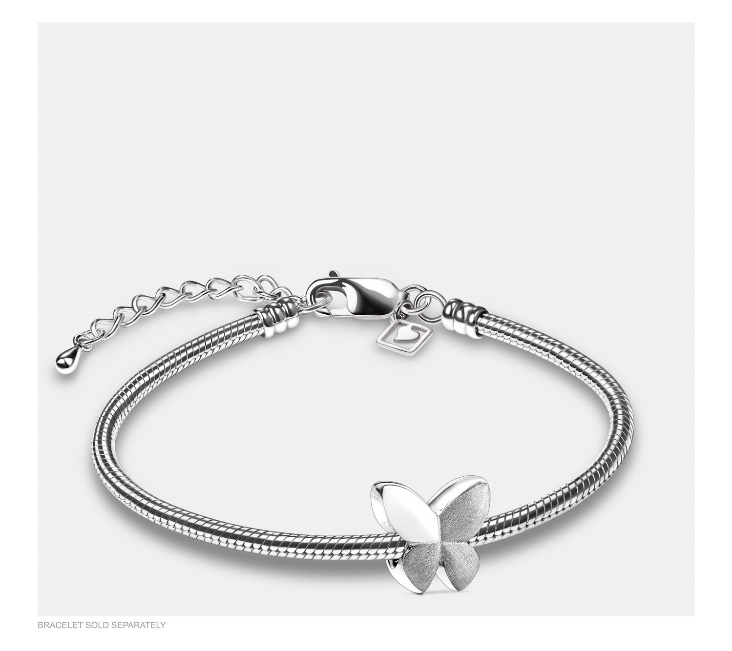 Asbedel Zilver Vlinder Met Bicolor - Afbeelding 2