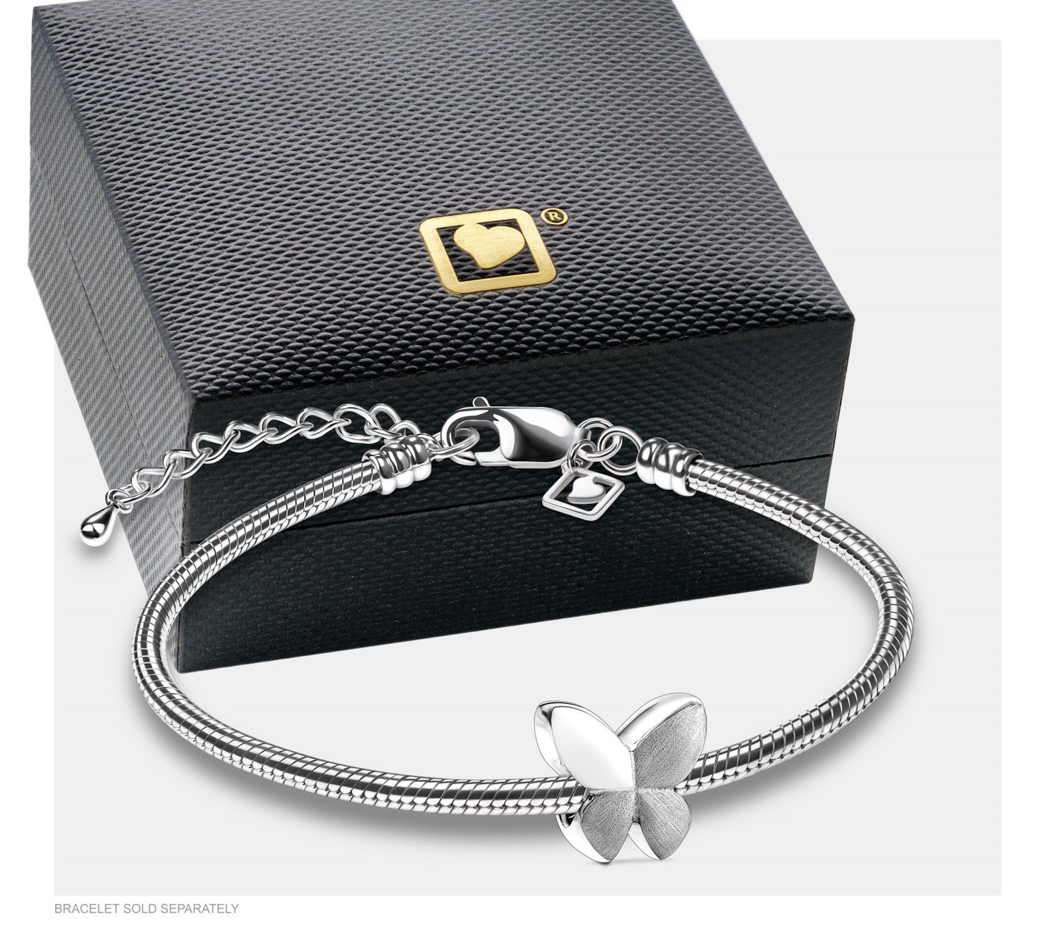 Asbedel Zilver Vlinder Met Bicolor - Afbeelding 3