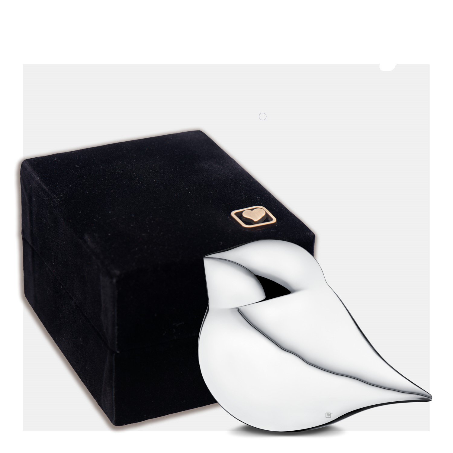 Glanzende Mini Urn voor Vogels (Medium) - Afbeelding 3
