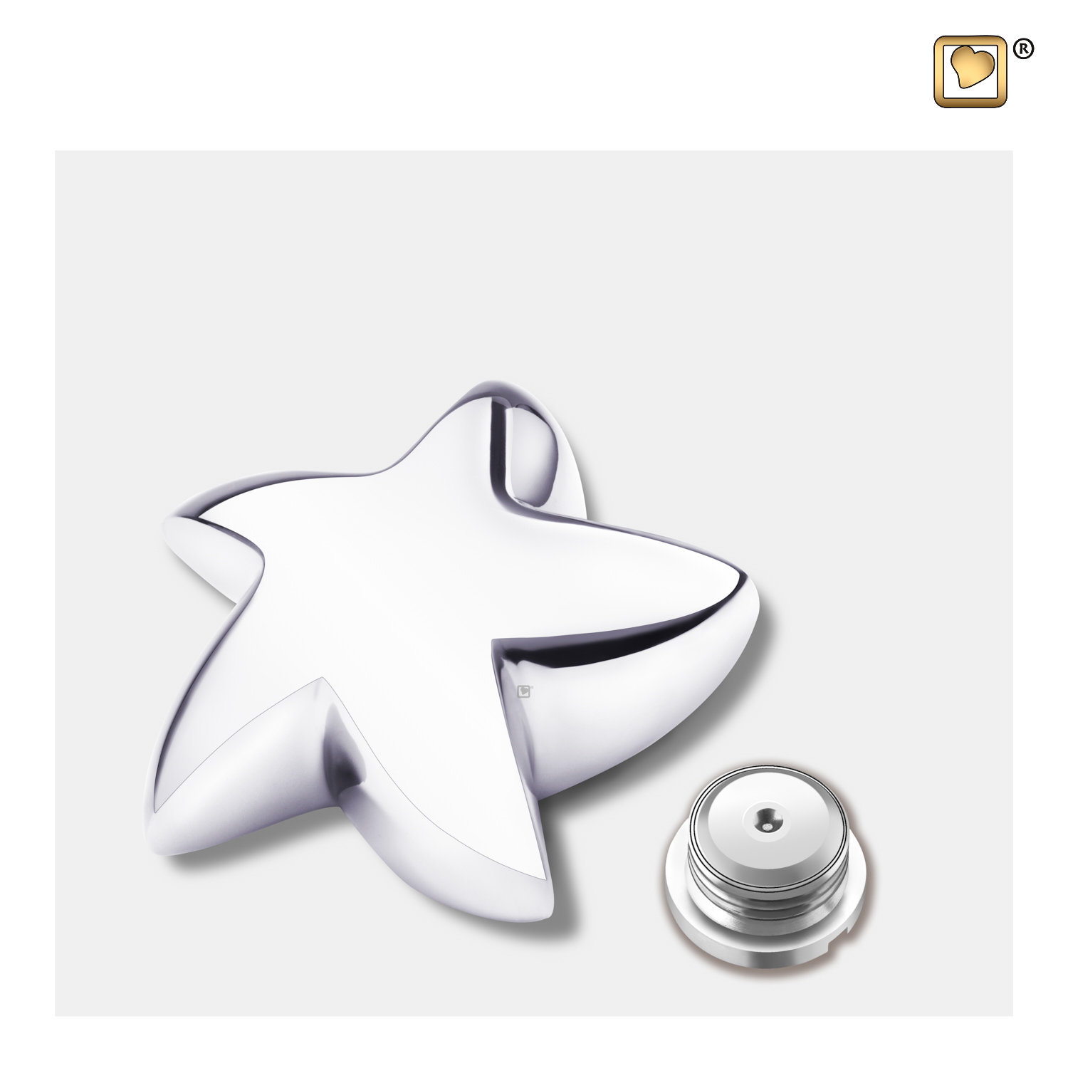 Mini Urn ster zilverkleur - Afbeelding 2