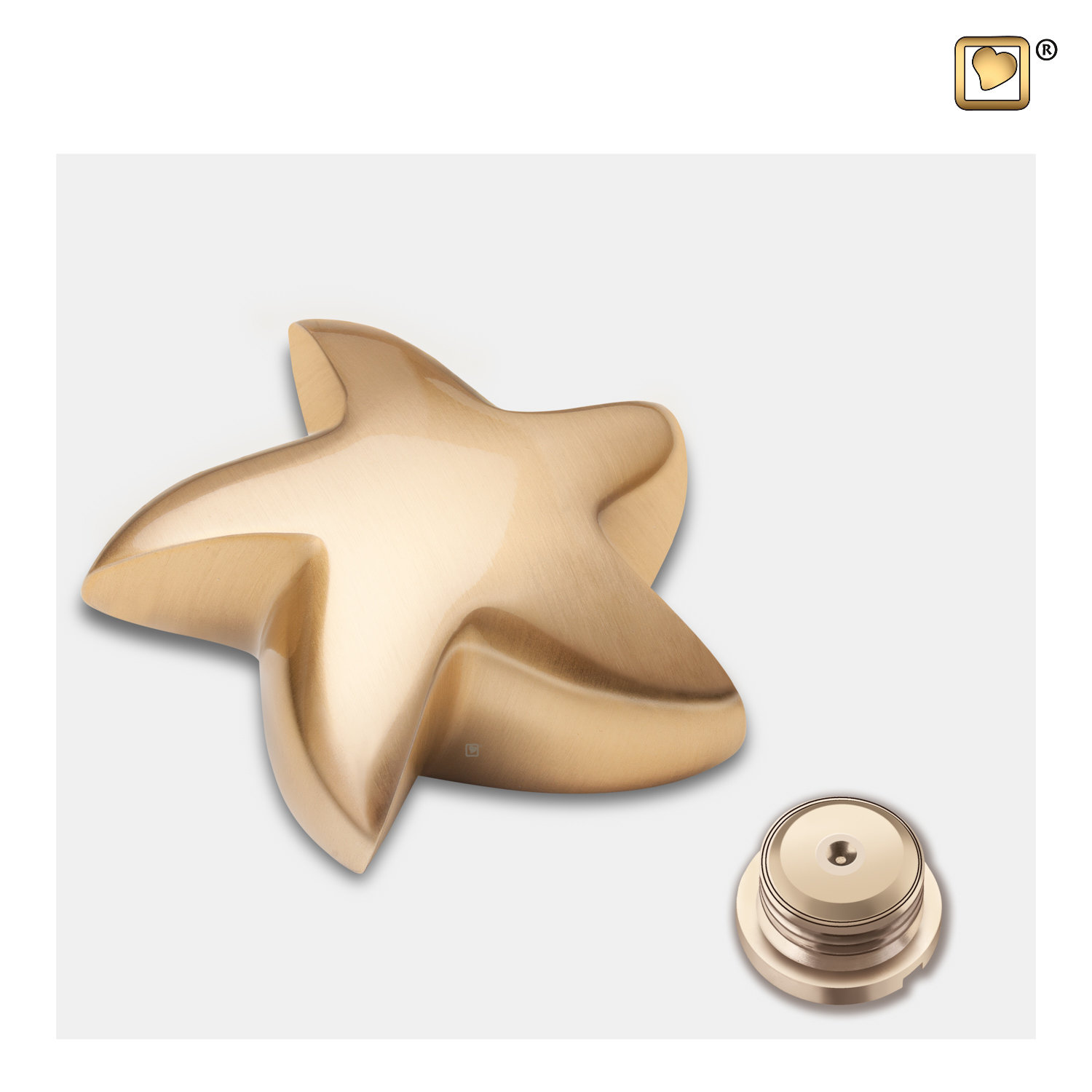 Kleine vergulde Matte Ster Urn - Afbeelding 2