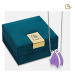 Ashanger Paarse Tulp, Ashangers, Ashanger, Assieraden