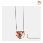 Ashanger Roos, Rozen Ashanger, Asjuweel Roos,