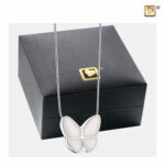 Ashanger Vkubder Wit, Witte Vlinder Ashanger, Asjuweel Vlinder Wit