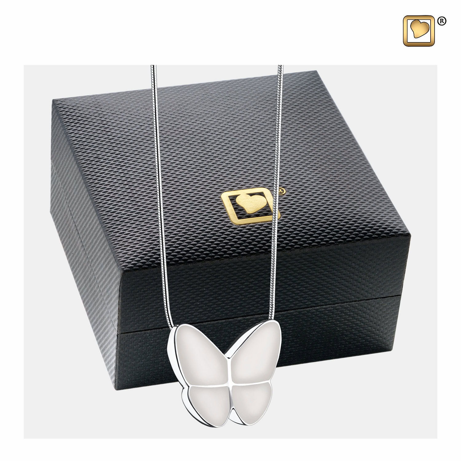 Ashanger Vkubder Wit, Witte Vlinder Ashanger, Asjuweel Vlinder Wit