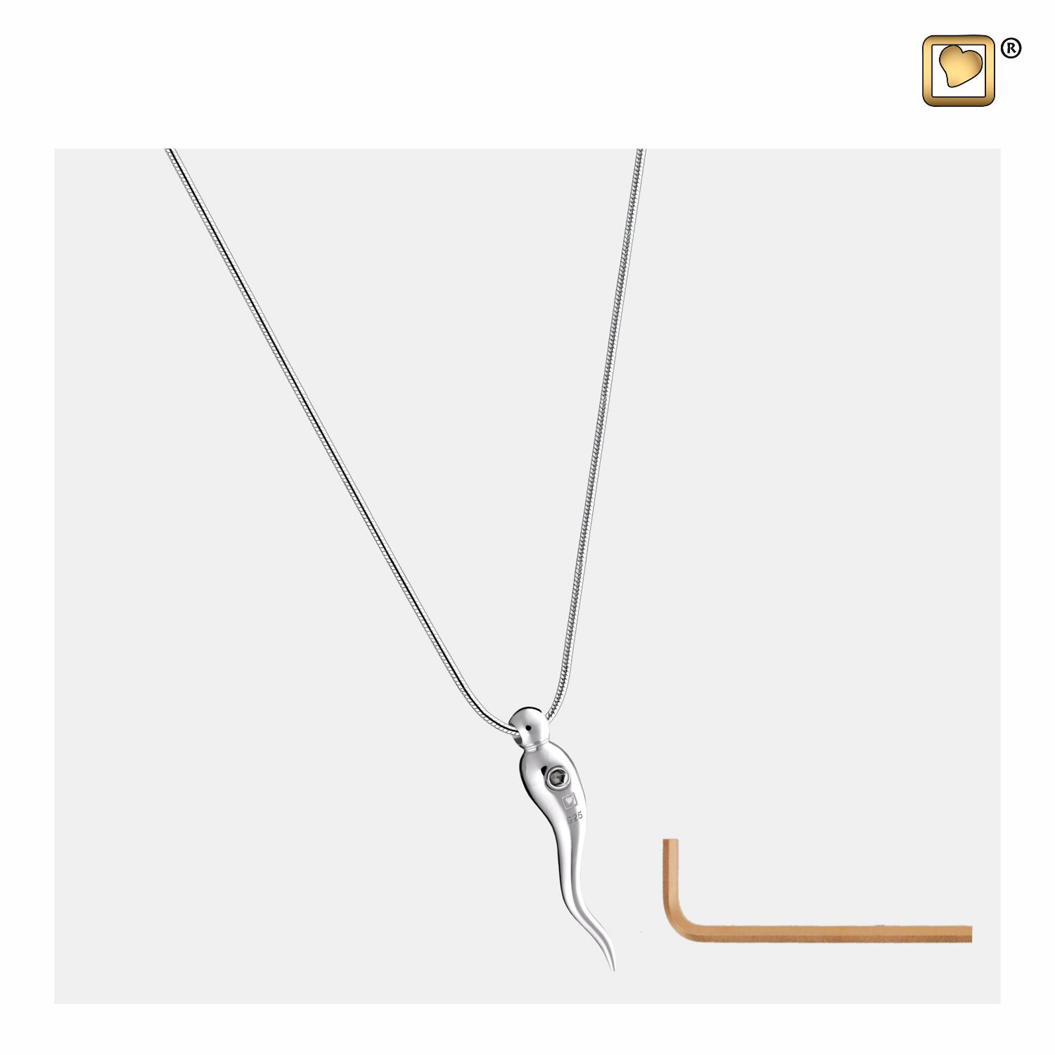 Asjuweel, Asjuwelen, Urnhangers, Gedenksieraden