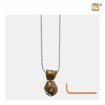 Bruine Kat Ashanger, Poes Ashanger, Dieren Ashanger, Dieren Asjuweel, Dieren Asjuwelen