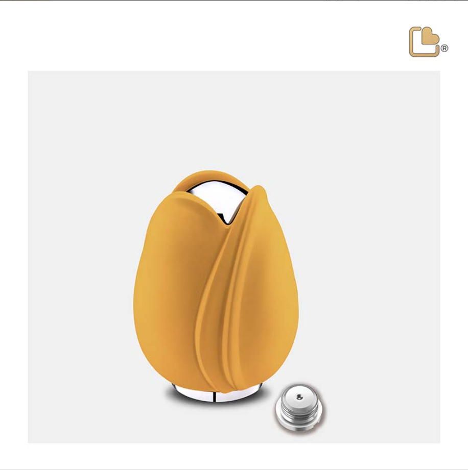 Gele Tulp Urn, Tulp Urne, Tulpen Urnen