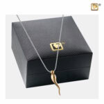 Gouden Hoorn Ashanger, Ashanger Hoorn, Asjueel Hoorn, Hoorn Assieraad