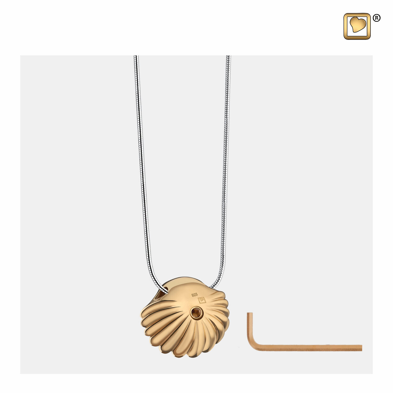 Goudvergulde Schelp Ashanger, Asjuweel Schelp Goud, Gouden Ashanger Schelp