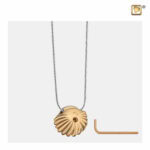 Goudvergulde Schelp Ashanger, Asjuweel Schelp Goud, Gouden Ashanger Schelp
