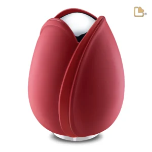 Grote Urn Tulp Rood