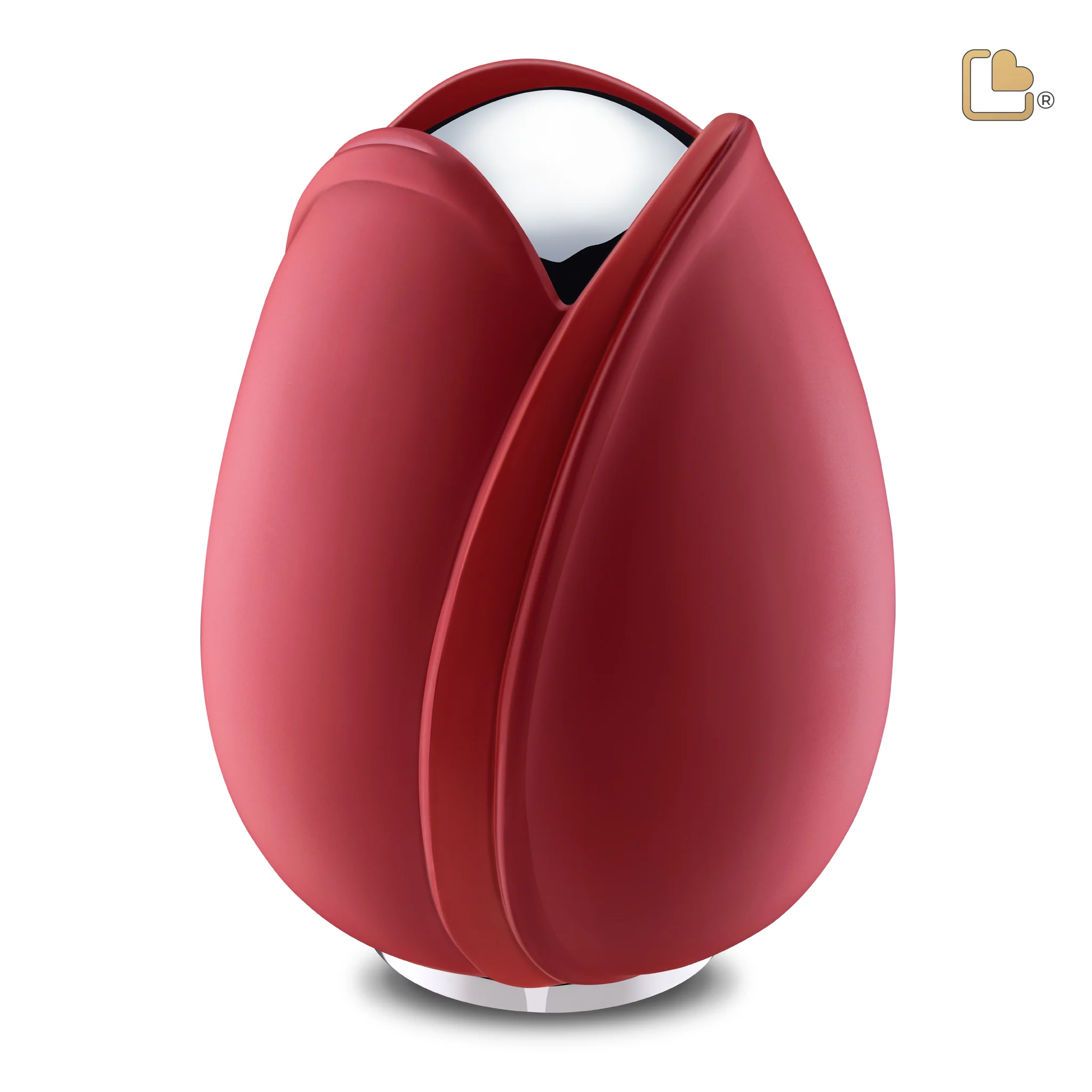 Grote Urn Tulp Rood