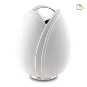 Grote Urn Tulp Wit