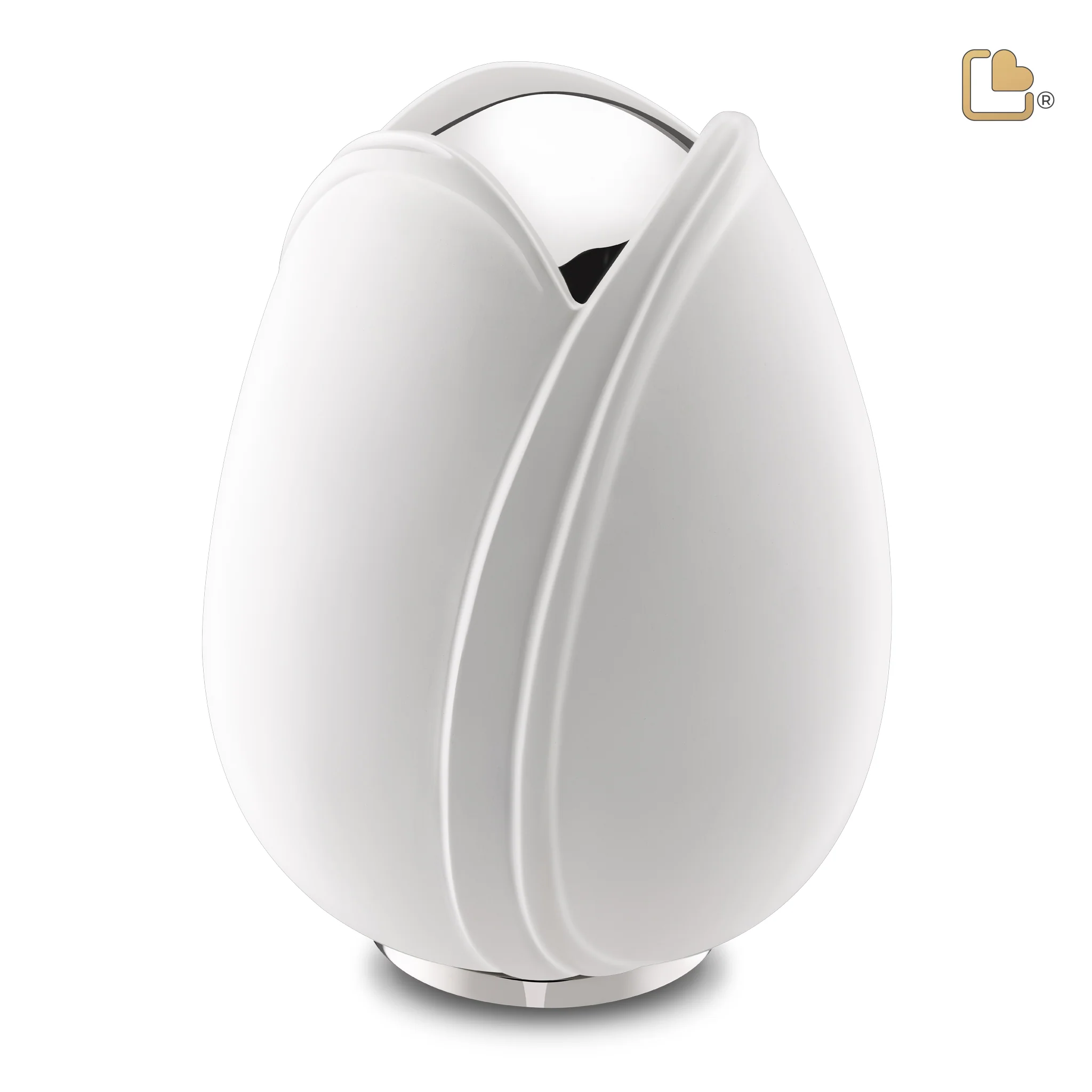 Grote Urn Tulp Wit