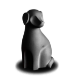 Hond Zwart
