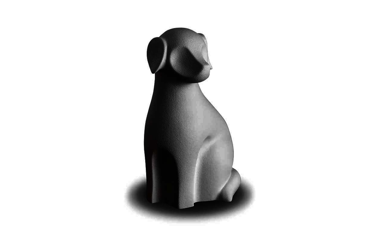 Hond Zwart