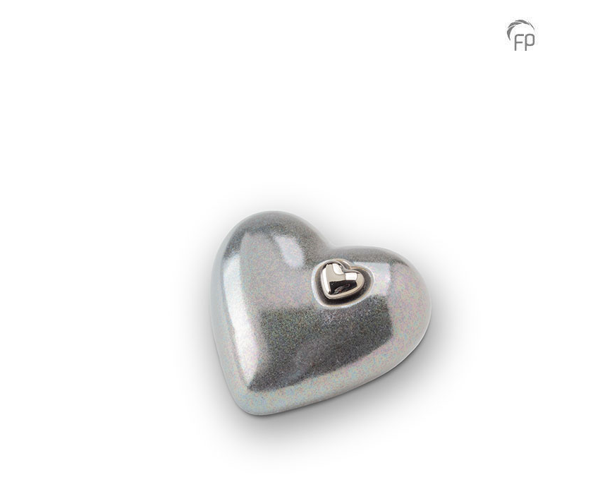Medium Zilvergrijs