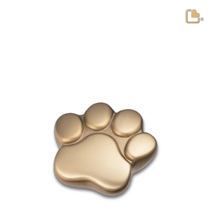 Mini Pootafdruk Goud