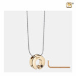 Omega Asjuweel, Asjuwelen, Assieraden, Assieraad Omega Goud