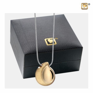Zilveren en Gouden Assieraden