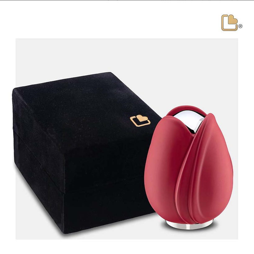 Rode Tulp Urn, Tulp Urnen Rood, Rode Tulp Urne