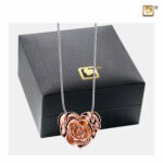 Rozegouden Roos Ashanger, Ashanger Roos, Rozen Ashangers, Asjuweel Roos