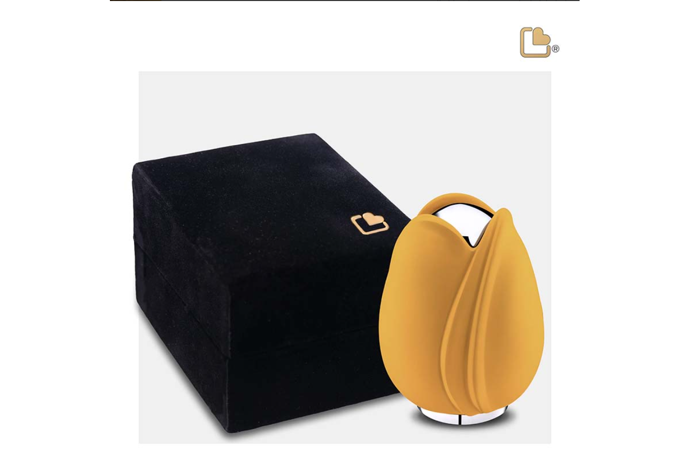 Tulp Urne, Tulp Urntje, Gele Tulp Urn