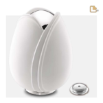 Witte Tulp Urn, Grote Urn Witte Tulp, Tulpen Urn