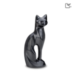 Zwarte Kat