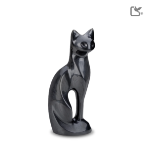 Zwarte Kat