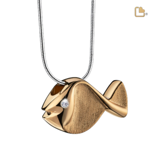 Ashanger Vis Goud