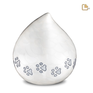 Grote Lovedrop Parelwit