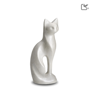 Kat Wit
