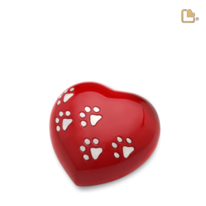 Medium Rood Hart