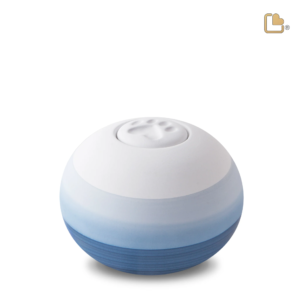 Rond Blauw