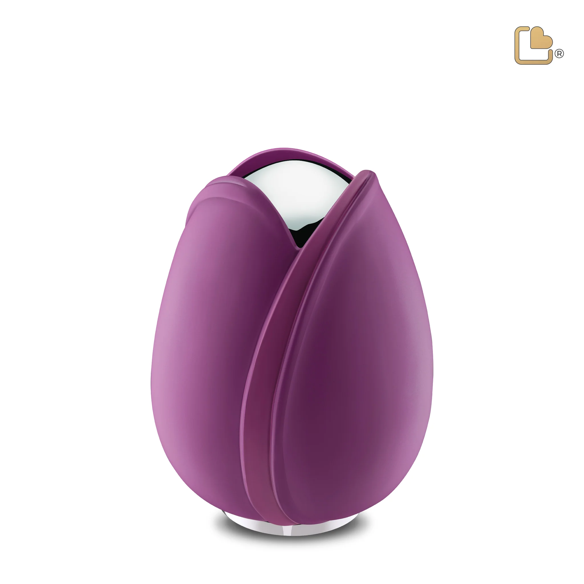 Medium Urn Paars Tulp