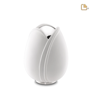 Medium Urn Witte Tulp