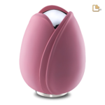 Tulp Roze